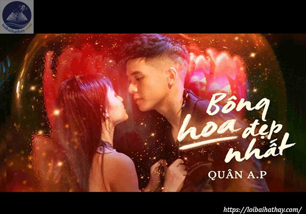Lời bài hát Bông Hoa Đẹp Nhất_Loibaihathay