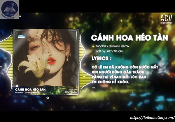 Lời bài hát Cánh Hoa Héo Tàn_loibaihathay