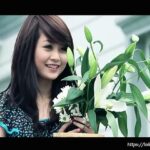 Lời bài hát Cầu Vồng Sau Mưa_Loibaihathay