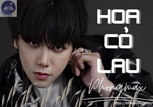 Lời bài hát Hoa cỏ lau_Loibaihathay