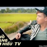 Lời bài hát Nơi Ấy Con Tìm Về_Loibaihathay