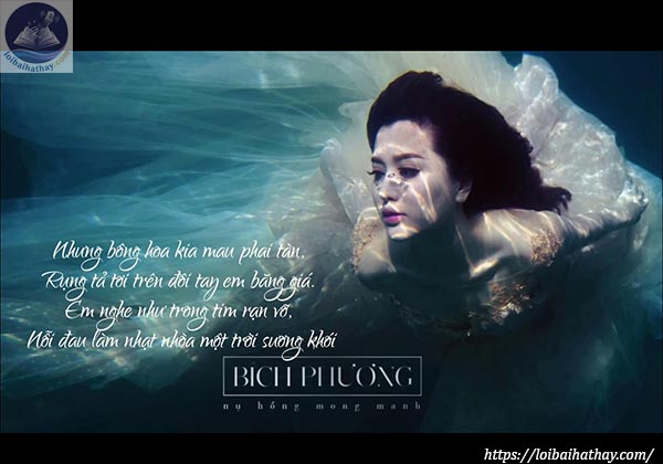 Lời bài hát Nụ hồng mong manh_Loibaihathay