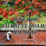 Bài hát về mùa hạ_Loibaihathay