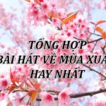 Bài hát về mùa xuân hay nhất_Loibaihathay
