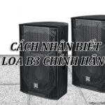 Cách nhận biết loa B3 chính hãng_Loibaihathay