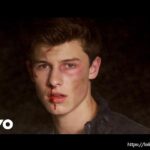 Lời bài hát Stitches_Loibaihathay