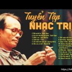 Nhạc Trịnh Công Sơn_Loibaihathay