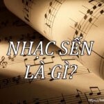 Nhạc sến là gì_Loibaihathay