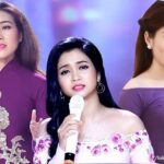 Nhạc trữ tình là gì_Loibaihathay