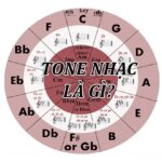 Tone là gì-Tone nhạc là gì_Loibaihathay